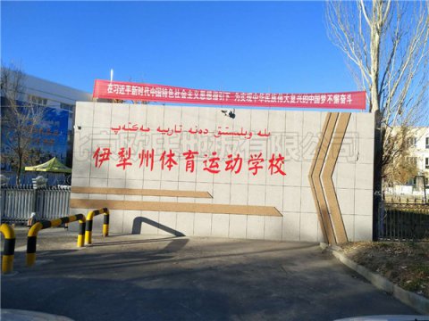 新疆伊犁體?；@球館運(yùn)動(dòng)地板案例