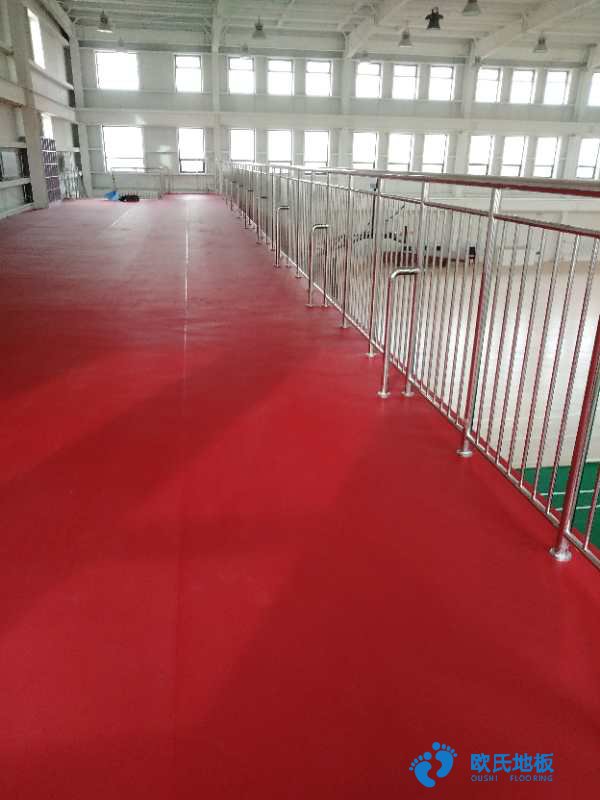 集成運(yùn)動(dòng)木地板,現(xiàn)代場館體育設(shè)施