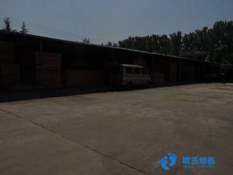 運(yùn)動(dòng)木地板國內(nèi)較好的