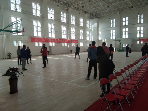 楓樺木運(yùn)動(dòng)場(chǎng)木地板排名