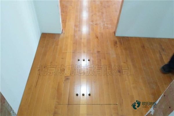 學(xué)?；@球館木地板減震2