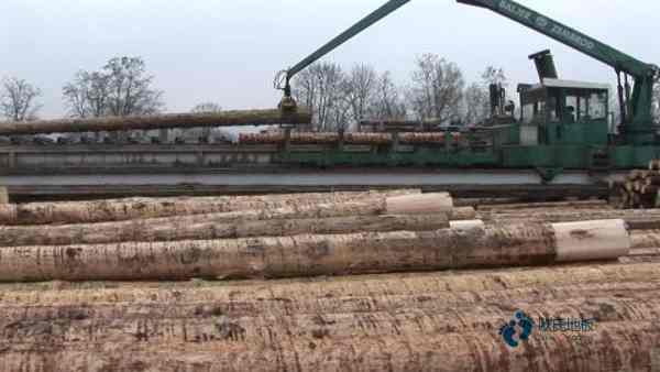 實(shí)木籃球場地板價格低3