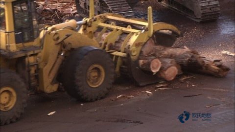 定制體育場(chǎng)地板牌子