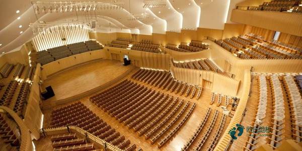 25厚運(yùn)動館木地板哪個牌子比較好1